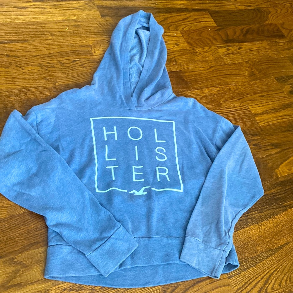 Cropped Hollister Hoodie